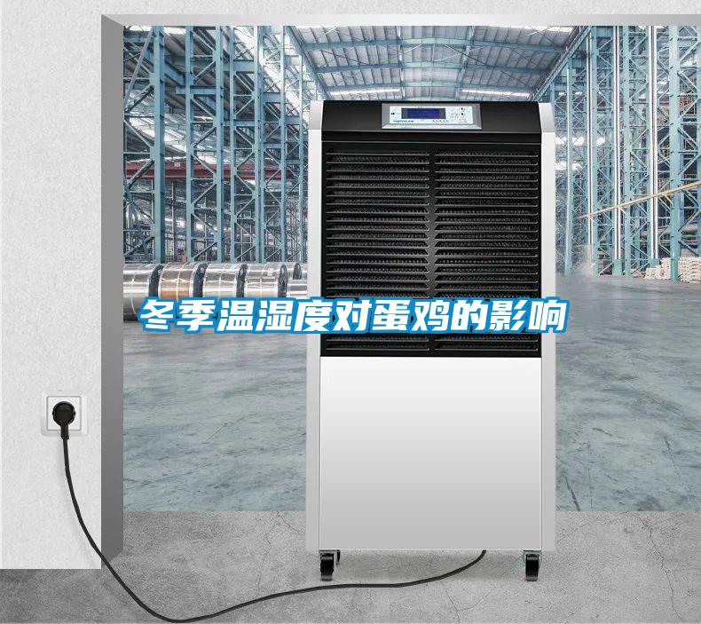 冬季温湿度对蛋鸡的影响