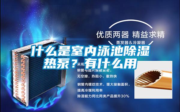 什么是室内泳池除湿热泵？有什么用