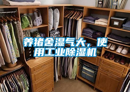 养猪舍湿气大，使用工业草莓视频APP在线