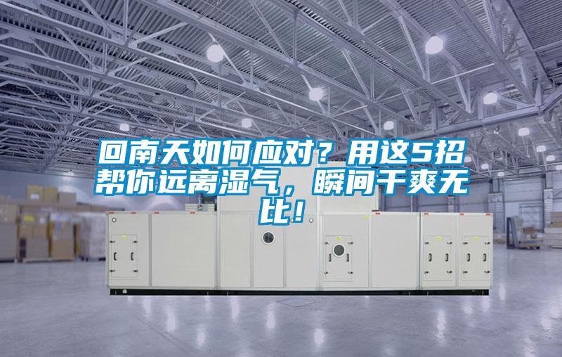 回南天如何应对？用这5招帮你远离湿气，瞬间干爽无比！