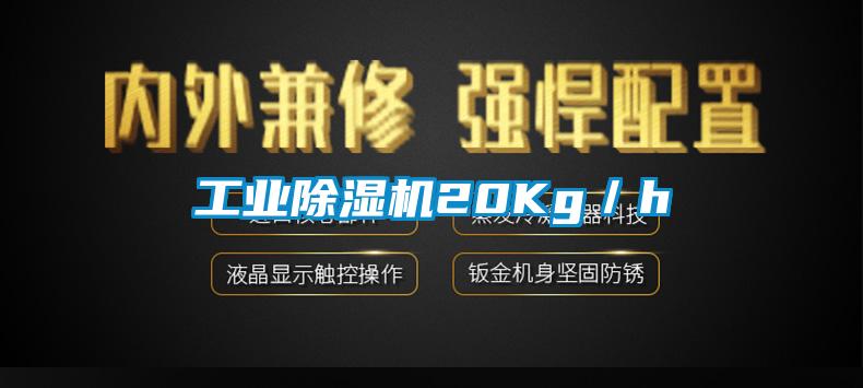 工业草莓视频APP在线20Kg／h