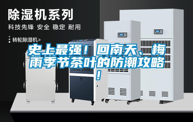 史上最强！回南天、梅雨季节茶叶的防潮攻略！