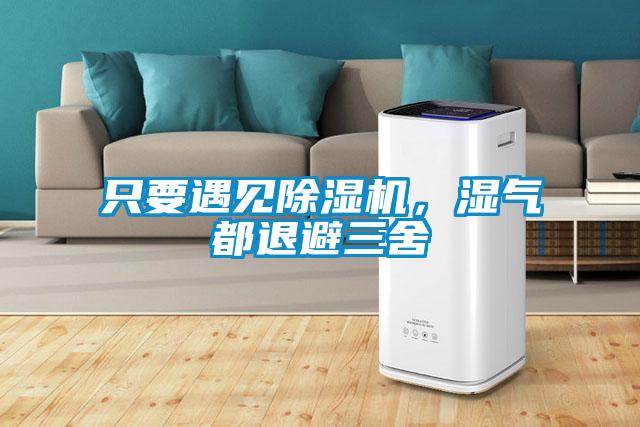 只要遇见草莓视频APP在线，湿气都退避三舍