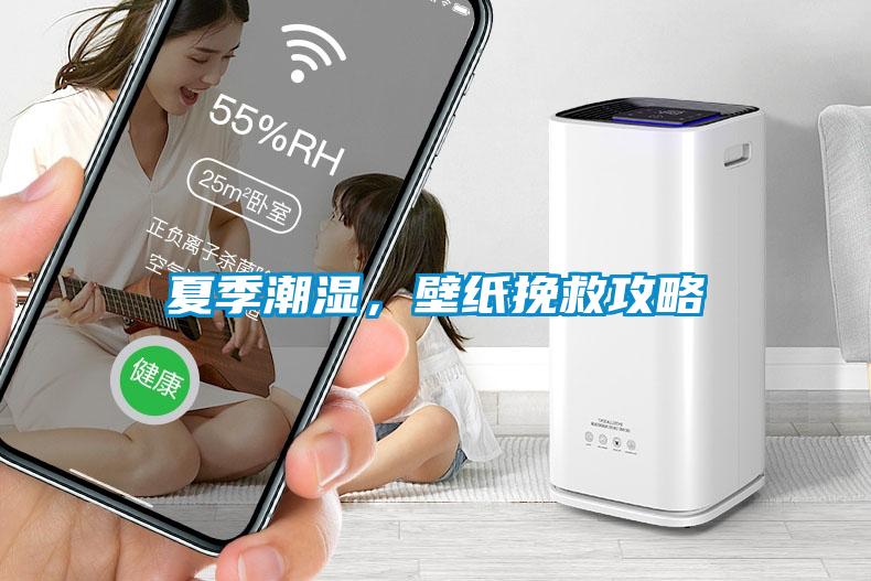 夏季潮湿，壁纸挽救攻略