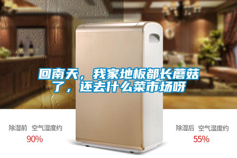 回南天，我家地板都长蘑菇了，还去什么菜市场呀