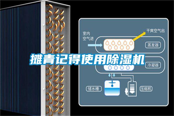摊青记得使用草莓视频APP在线