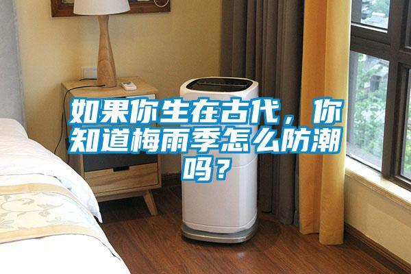 如果你生在古代，你知道梅雨季怎么防潮吗？
