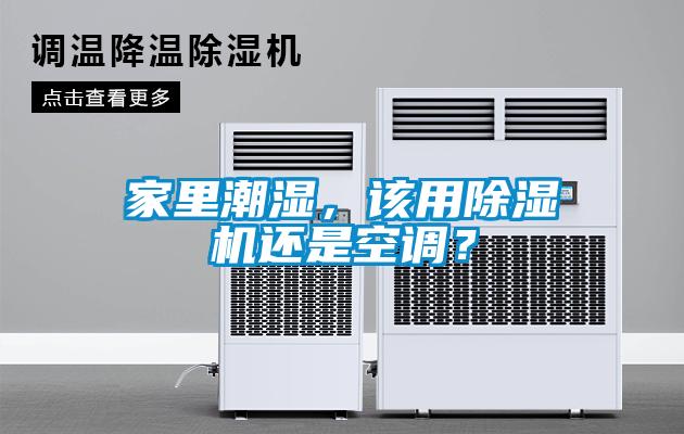 家里潮湿，该用草莓视频APP在线还是空调？