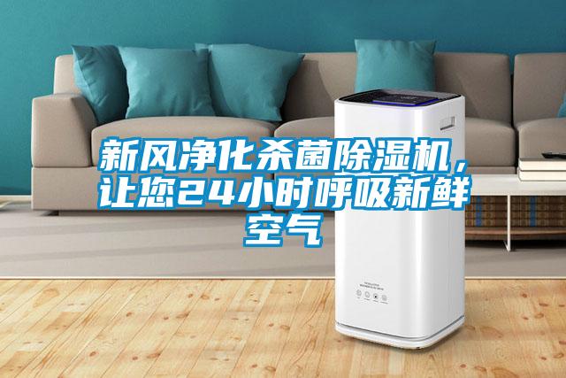新风净化杀菌草莓视频APP在线，让您24小时呼吸新鲜空气