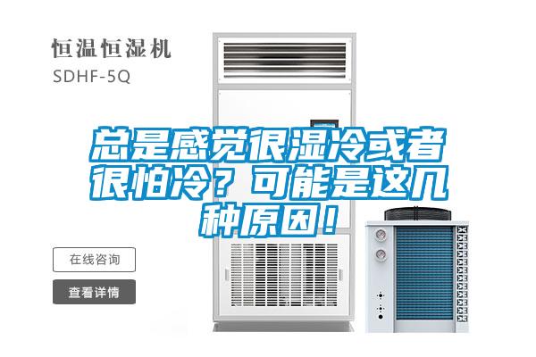 总是感觉很湿冷或者很怕冷？可能是这几种原因！