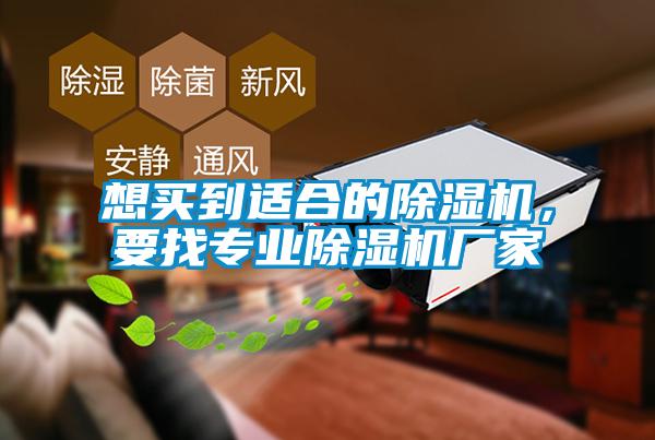 想买到适合的草莓视频APP在线，要找专业草莓视频APP在线厂家