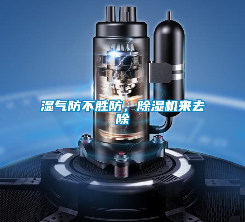 湿气防不胜防，草莓视频APP在线来去除