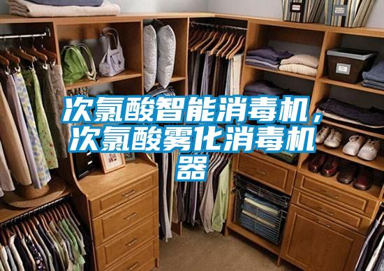 次氯酸智能消毒机，次氯酸雾化消毒机器