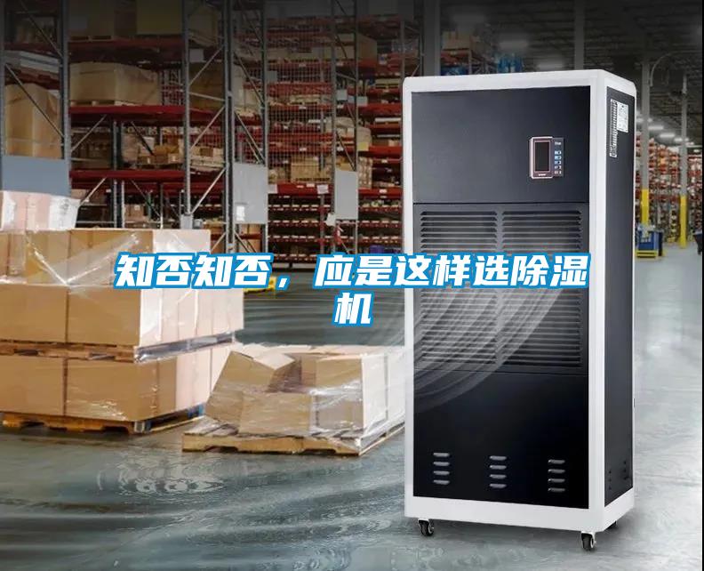 知否知否，应是这样选草莓视频APP在线