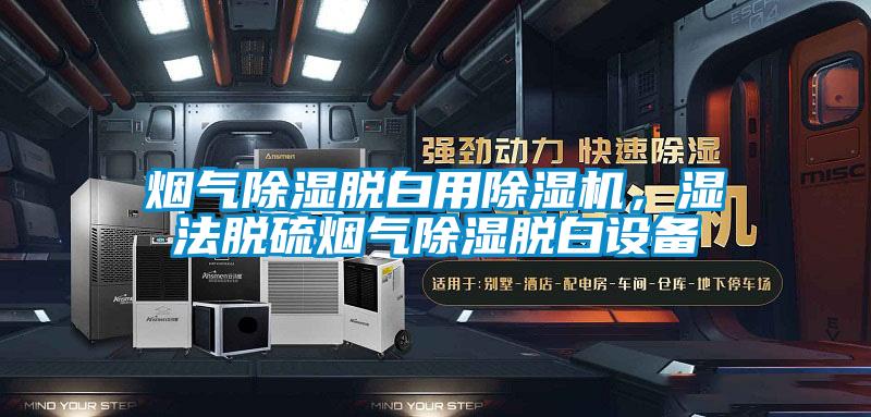 烟气除湿脱白用草莓视频APP在线，湿法脱硫烟气除湿脱白设备