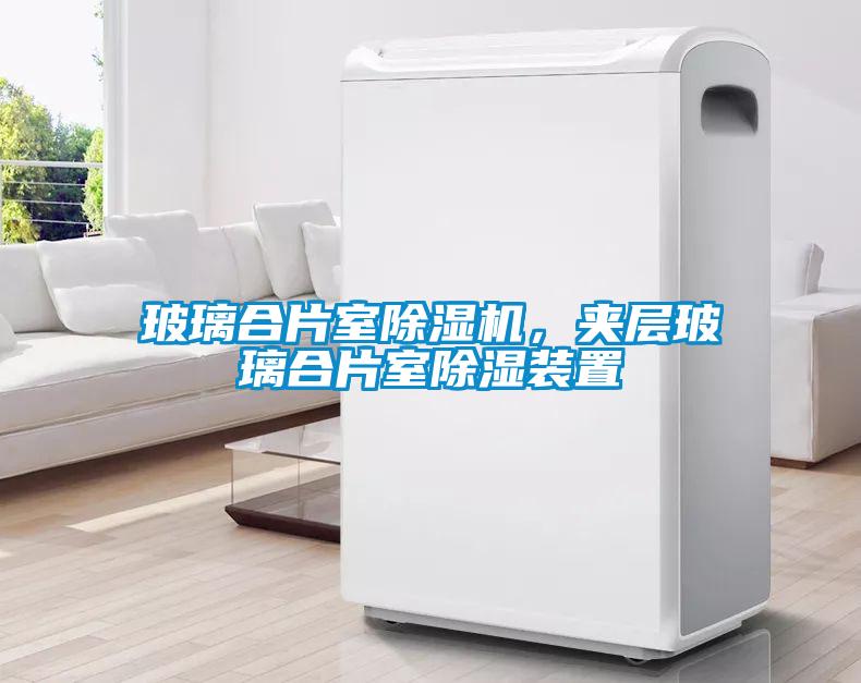 玻璃合片室草莓视频APP在线，夹层玻璃合片室除湿装置