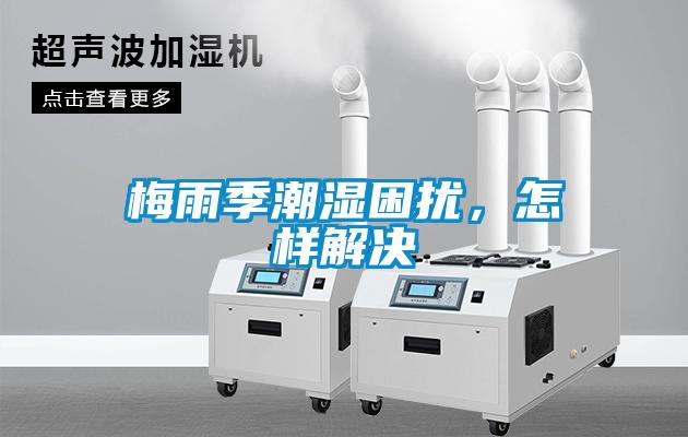 梅雨季潮湿困扰，怎样解决