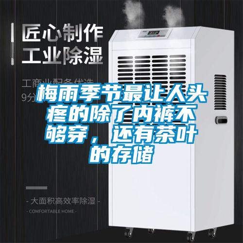梅雨季节最让人头疼的除了内裤不够穿，还有茶叶的存储