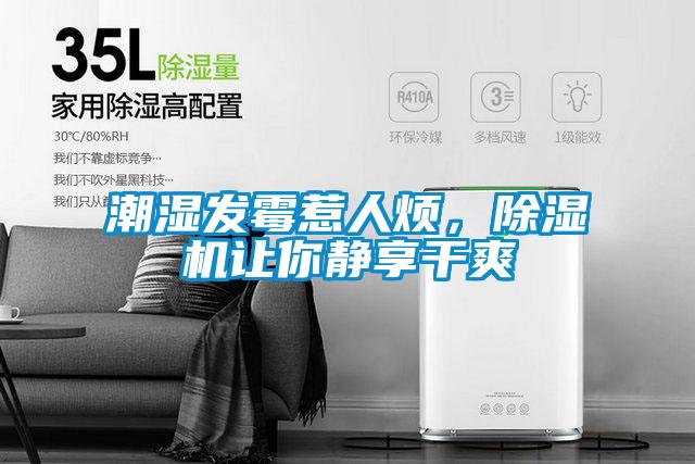 潮湿发霉惹人烦，草莓视频APP在线让你静享干爽