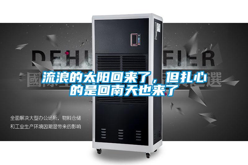 流浪的太阳回来了，但扎心的是回南天也来了