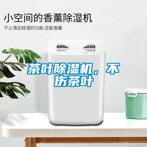 茶叶草莓视频APP在线，不伤茶叶