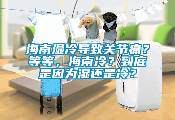 海南湿冷导致关节痛？等等，海南冷？到底是因为湿还是冷？