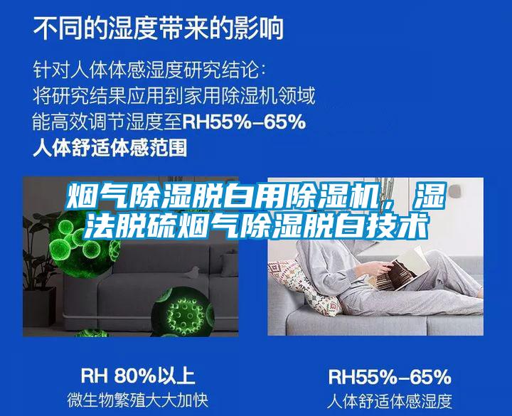 烟气除湿脱白用草莓视频APP在线，湿法脱硫烟气除湿脱白技术