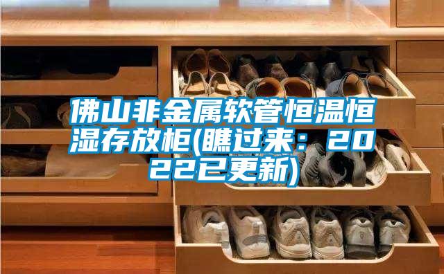 佛山非金属软管恒温恒湿存放柜(瞧过来：2022已更新)