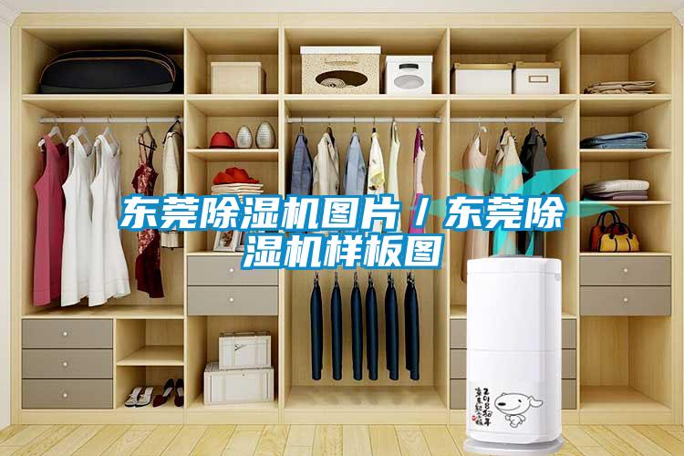 东莞草莓视频APP在线图片／东莞草莓视频APP在线样板图