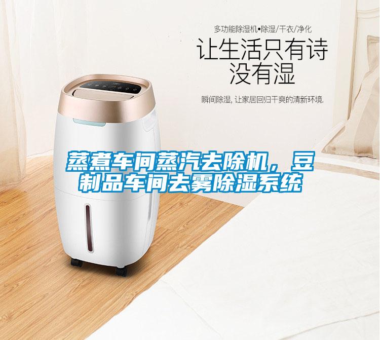 蒸煮车间蒸汽去除机，豆制品车间去雾除湿系统
