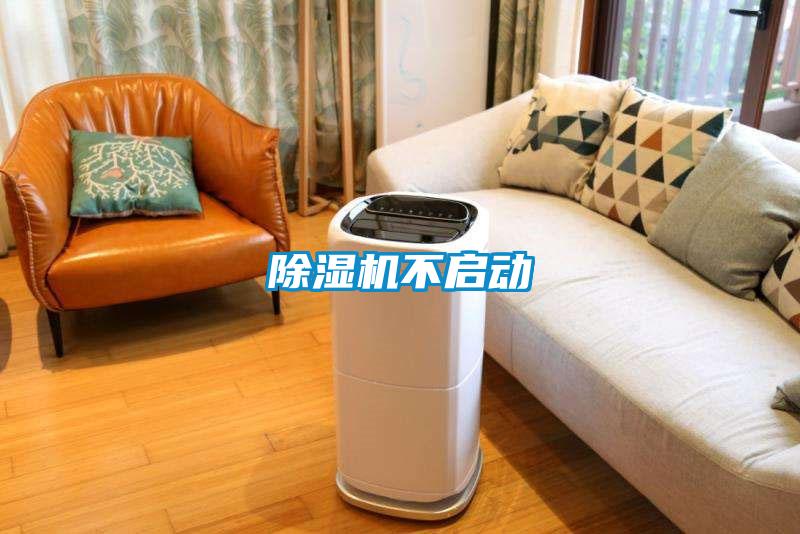 草莓视频APP在线不启动