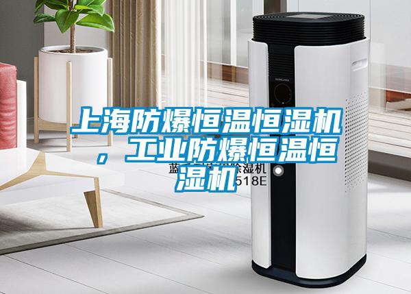 上海防爆恒温恒湿机 ，工业防爆恒温恒湿机