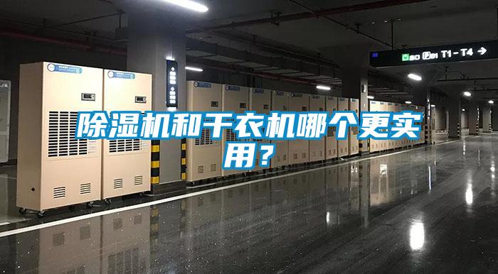 草莓视频APP在线和干衣机哪个更实用？