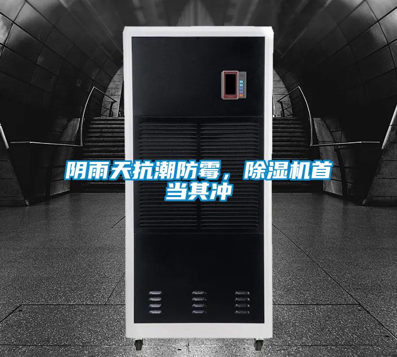 阴雨天抗潮防霉，草莓视频APP在线首当其冲