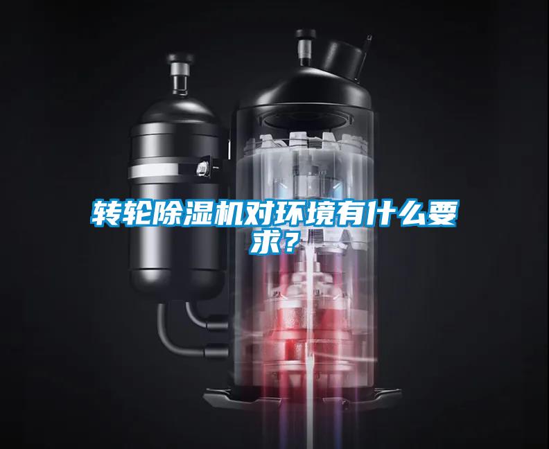 转轮草莓视频APP在线对环境有什么要求？