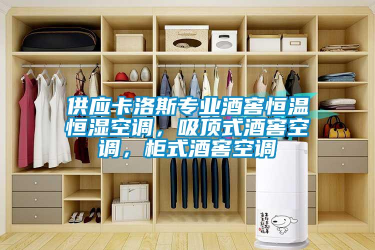 供应卡洛斯专业酒窖恒温恒湿空调，吸顶式酒窖空调，柜式酒窖空调