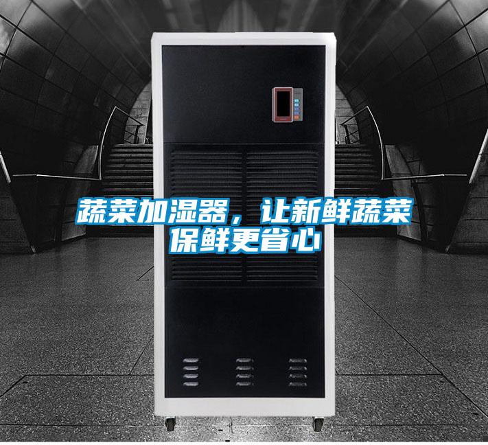 蔬菜加湿器，让新鲜蔬菜保鲜更省心