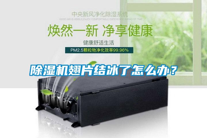 草莓视频APP在线翅片结冰了怎么办？