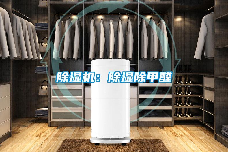 草莓视频APP在线：除湿除甲醛
