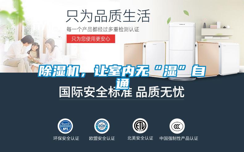 草莓视频APP在线，让室内无“湿”自通