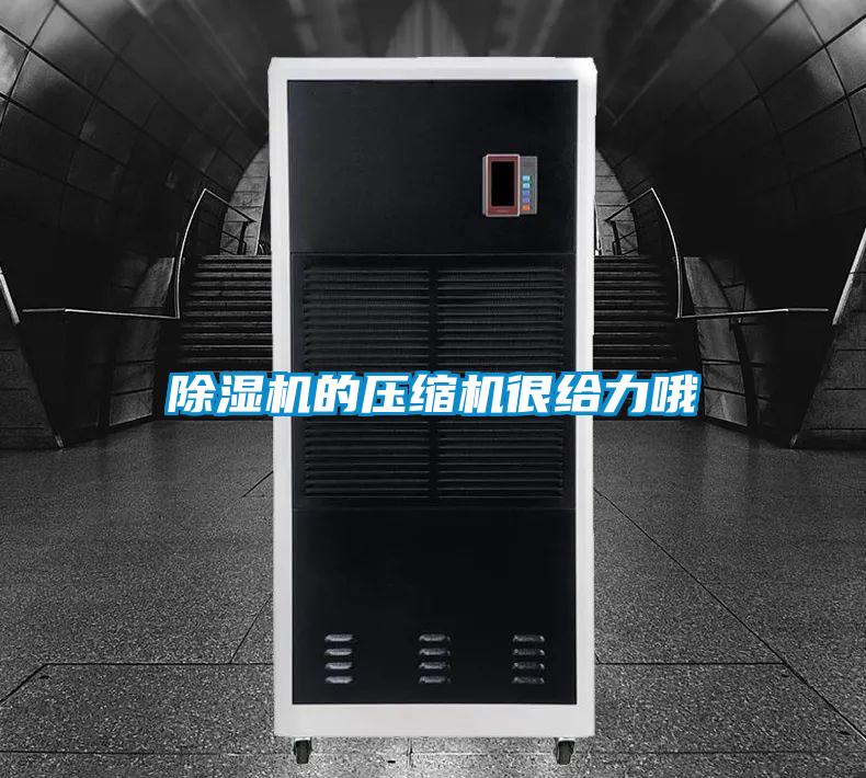 草莓视频APP在线的压缩机很给力哦
