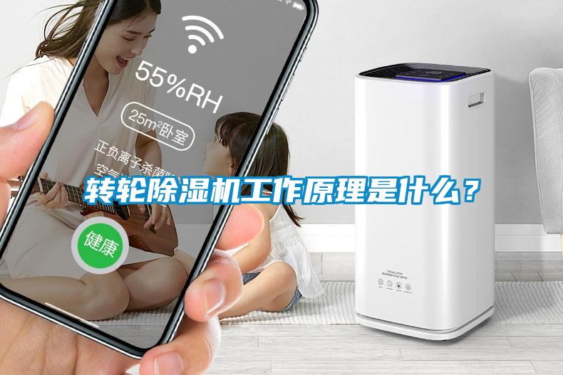 转轮草莓视频APP在线工作原理是什么？