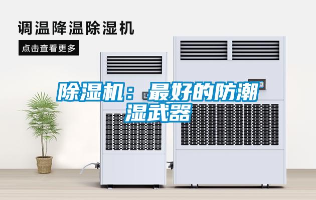 草莓视频APP在线：最好的防潮湿武器