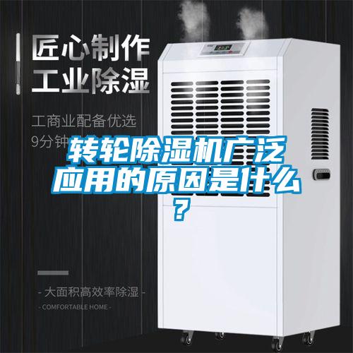 转轮草莓视频APP在线广泛应用的原因是什么？