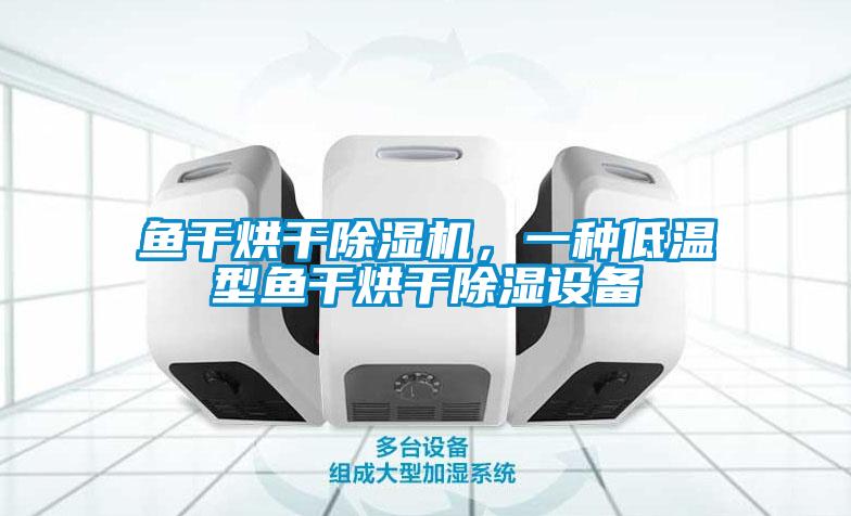 鱼干烘干草莓视频APP在线，一种低温型鱼干烘干除湿设备