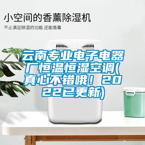 云南专业电子电器厂恒温恒湿空调(真心不错哦！2022已更新)