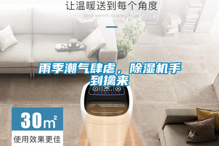 雨季潮气肆虐，草莓视频APP在线手到擒来