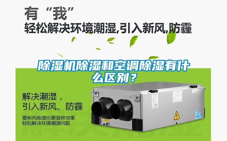 草莓视频APP在线除湿和空调除湿有什么区别？