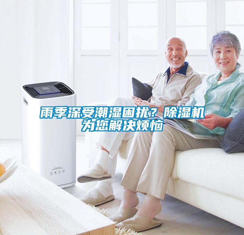 雨季深受潮湿困扰？草莓视频APP在线为您解决烦恼