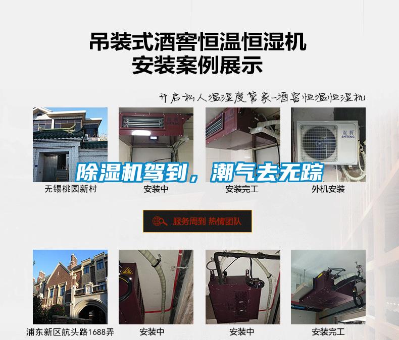草莓视频APP在线驾到，潮气去无踪